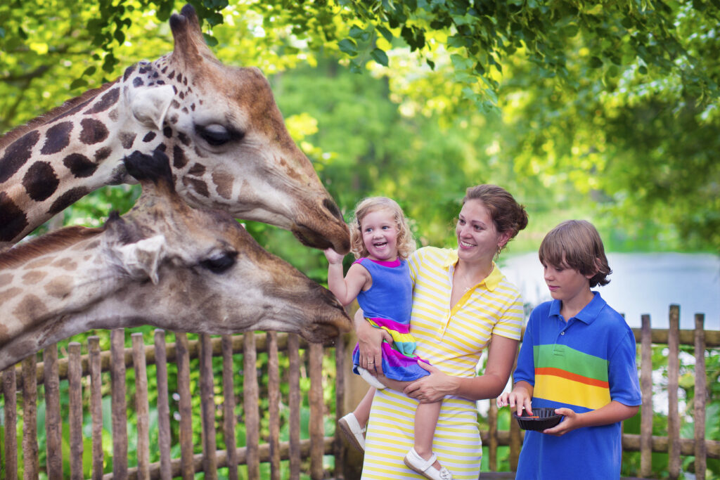 What Should I Do if I Was Injured at the Lincoln Park Zoo in Chicago?